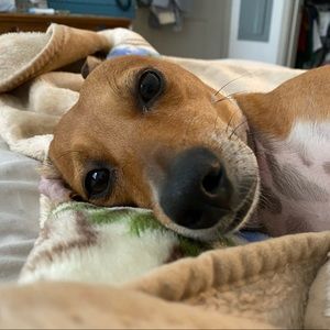 Meet your Posher, Bianca